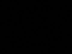 -叙里酒店(成都宽窄巷子奎星楼街店)