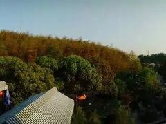 -旺山·浪头人家