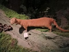 -四川大学博物馆