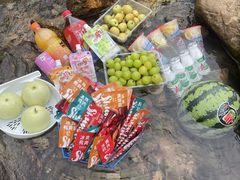 -郴州特产舜华临武鸭(郴州西站店)