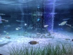 -沈阳海洋探索中心