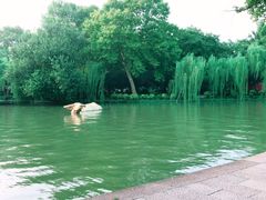 -西湖天地