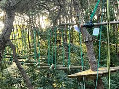 -芦仙山景区-飞越丛林探险乐园