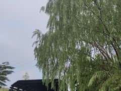 -昆山城市生态森林公园