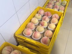 -老袁家蜜桃农场·阳山水蜜桃