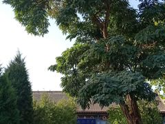 -张掖大佛寺景区