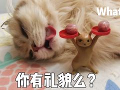 -御宝贝·A梦猫科宠物医院(国际猫友好医院)