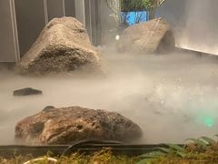 -沅江水·湖南家宴(南村万博长隆商圈店)