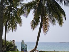 -白云中餐厅·粤菜·亚龙湾喜来登度假酒店