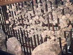 -空蝉怀石料理(益丰·外滩源店)