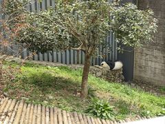 -黔灵山公园