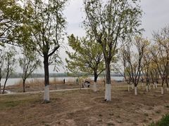 -绿堤公园