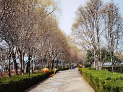 -洛阳市隋唐城遗址植物园