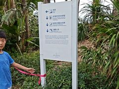 -亚特兰蒂斯•OSSIANO奥西亚诺海底餐厅