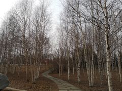 -长春世界雕塑园冰雪艺术天地