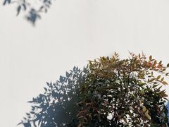 -中国昆曲博物馆