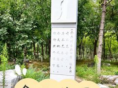 -大兴滨河森林公园