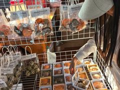 -蓝湾碧波·老字号·疍家非遗海上餐厅