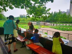 -大望京儿童游乐场