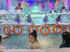 -帝企鹅自助餐厅•儿童岛•真企鹅(长隆企鹅酒店)