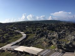 -龙坑生态保护区