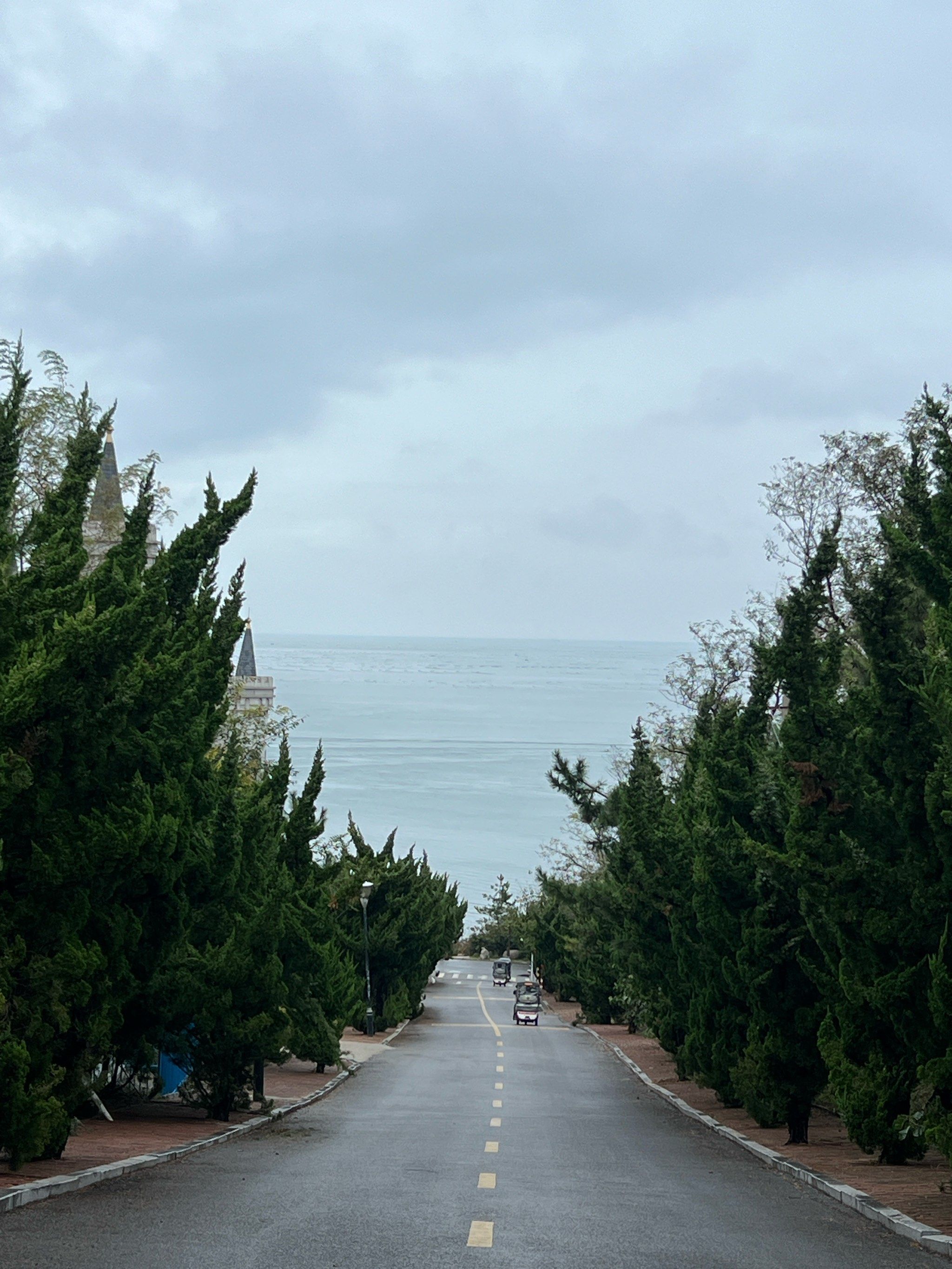 阿根廷马岛风景