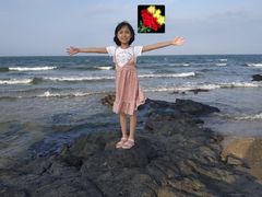 -临高角
