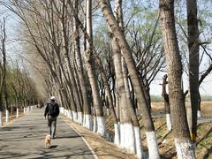 -东郊湿地公园