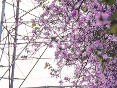 -广东财经大学(广州校区)