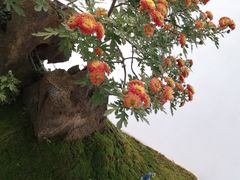 -莲湖公园