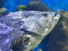 -石林冰雪海洋世界