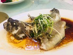 -宜宾海鲜酒家·三十年老字号