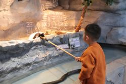 -Zoolung Zoolung动物主题公园(海信广场店)