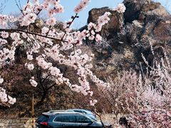 -龙泉峪长城