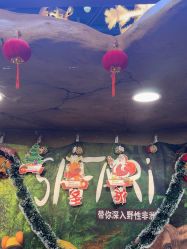 -卡通尼·Safari非洲探索乐园·生日会(金桥国际商业广场店)