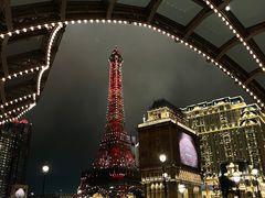 -澳门威尼斯人综合度假区