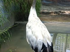 -成都动物园
