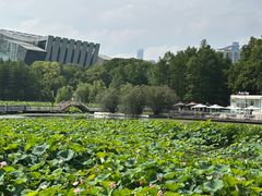 -月湖风景区