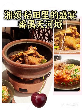广州美食‖香辣可口的稻田鸭