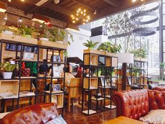 -桉树林A coffee 森林餐厅(三圣乡店)