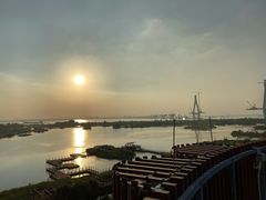 -芒洲湿地公园