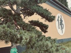 -狼山风景名胜区