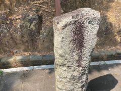 -羚羊峡古栈道森林公园