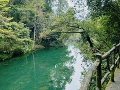 -石台牯牛降景区