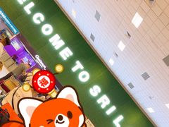 -班达拉奈克国际机场