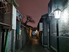 -百花深处胡同
