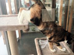 -网友电竞网咖(望京店)