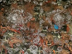 -海玥荟海鲜姿造自助餐厅(欧罗巴广场店)