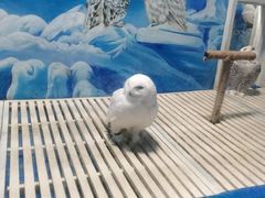 -成都浩海立方海洋公园