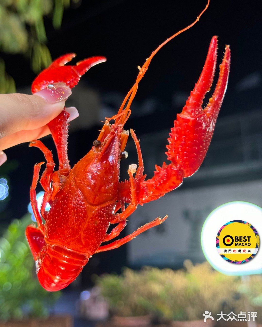 中山人真會吃🇨🇳小龍蝦🦞好大隻‼️